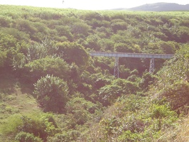 St Kitts Train Ride20